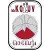 https://img.tl20z.com/img/basketball/team/4b06fe02aaa7da5901e5698485059da0.png